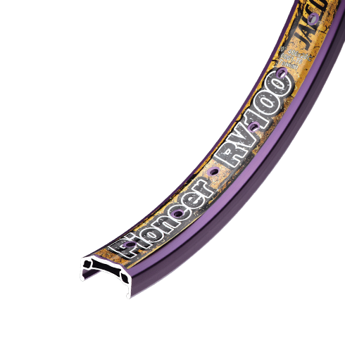 Bike Rims (RV 100)